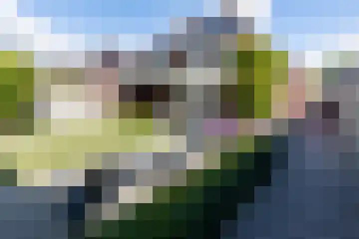 Dominicus van Ophovenstraat 54 Veghel thumbnail 46