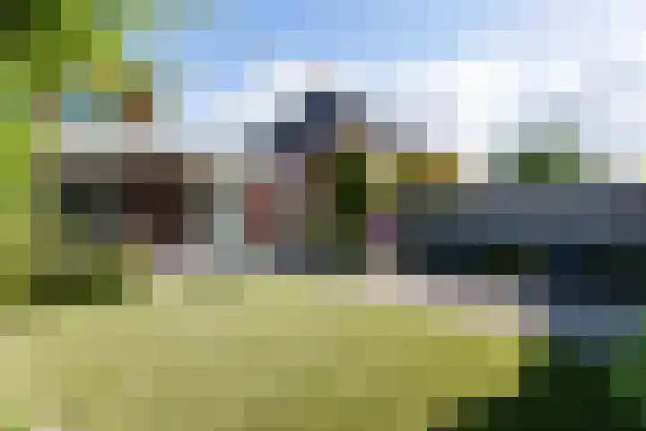 Dominicus van Ophovenstraat 54 Veghel thumbnail 47