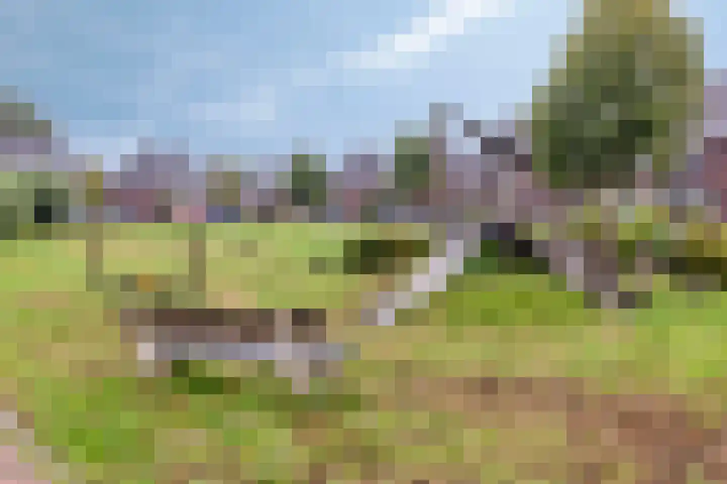 Dominicus van Ophovenstraat 59 Veghel thumbnail 32