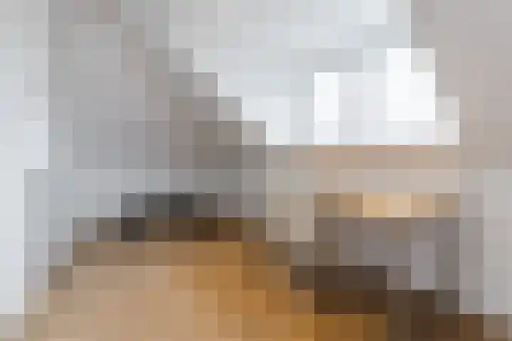 Dominicus van Ophovenstraat 60 Veghel thumbnail 36