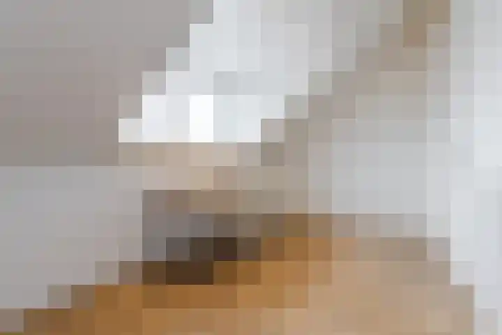 Dominicus van Ophovenstraat 60 Veghel thumbnail 37