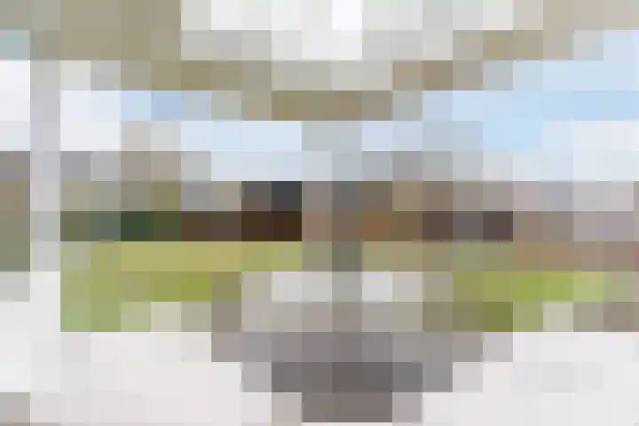 Dominicus van Ophovenstraat 60 Veghel thumbnail 39