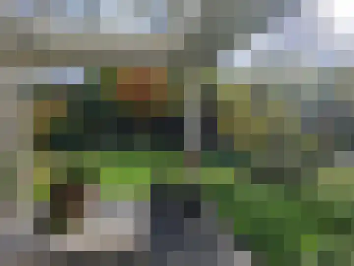 Dominicus van Ophovenstraat 60 Veghel thumbnail 40