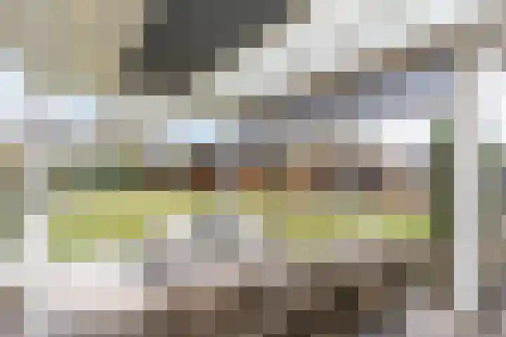 Dominicus van Ophovenstraat 60 Veghel thumbnail 42
