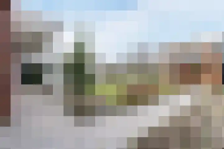 Dominicus van Ophovenstraat 60 Veghel thumbnail 44