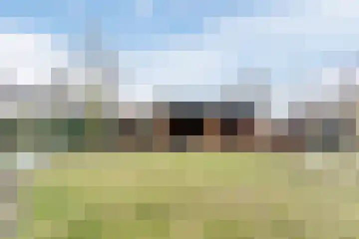 Dominicus van Ophovenstraat 60 Veghel thumbnail 45