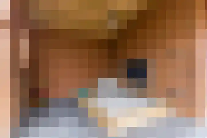 Dominicus van Ophovenstraat 60 Veghel thumbnail 47