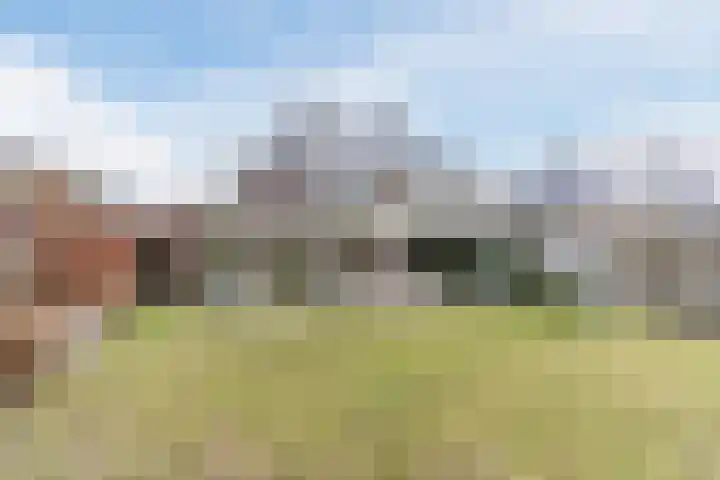 Dominicus van Ophovenstraat 60 Veghel thumbnail 49