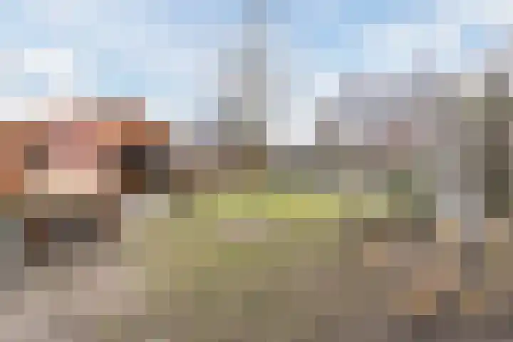 Dominicus van Ophovenstraat 60 Veghel thumbnail 50