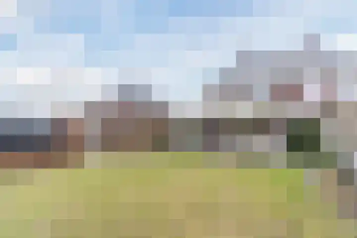 Dominicus van Ophovenstraat 60 Veghel thumbnail 51