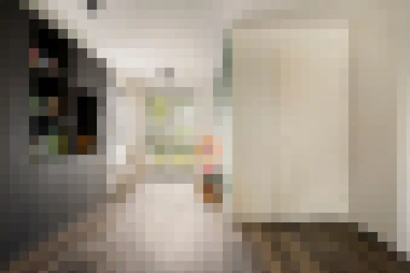 Dominicus van Ophovenstraat 77 Veghel thumbnail 11