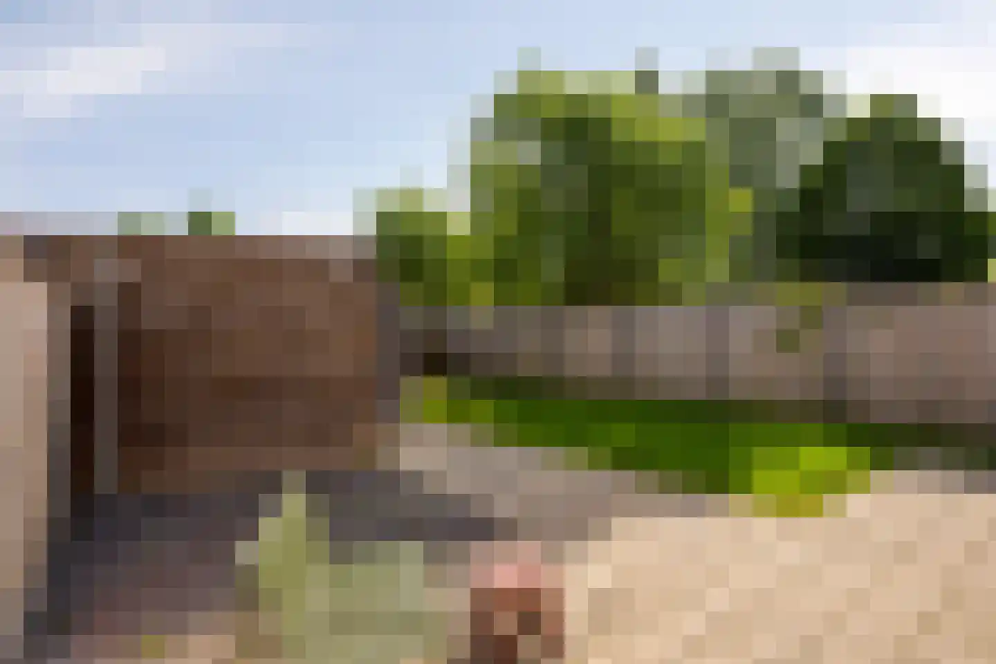 Dominicus van Ophovenstraat 88 Veghel thumbnail 24