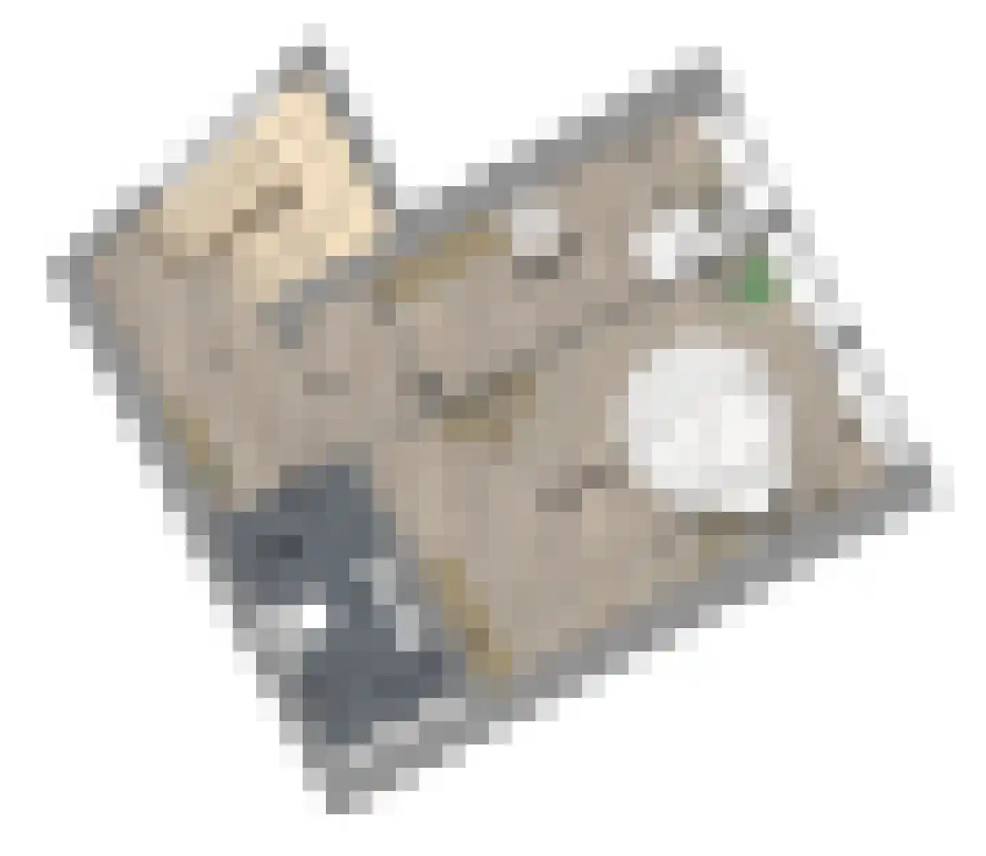 Dominicushof 1 a Tiel thumbnail 10