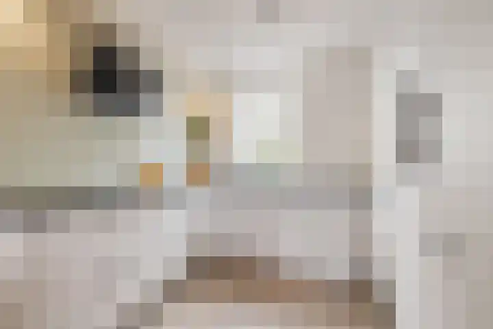 Dominicushof 121 Vianen thumbnail 11