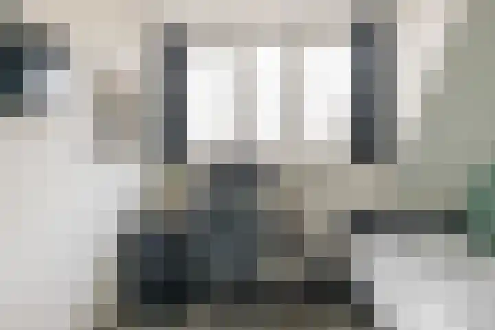 Dominicushof 121 Vianen thumbnail 27