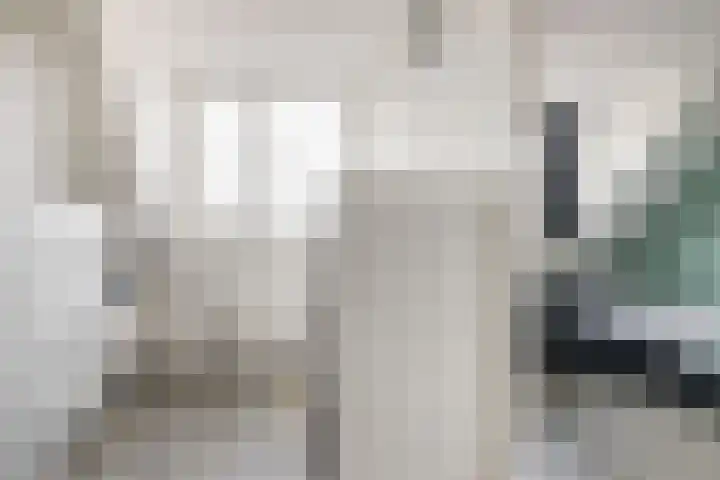 Dominicushof 121 Vianen thumbnail 28