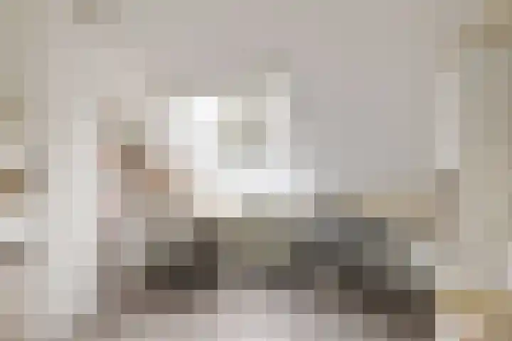 Dominicushof 121 Vianen thumbnail 33