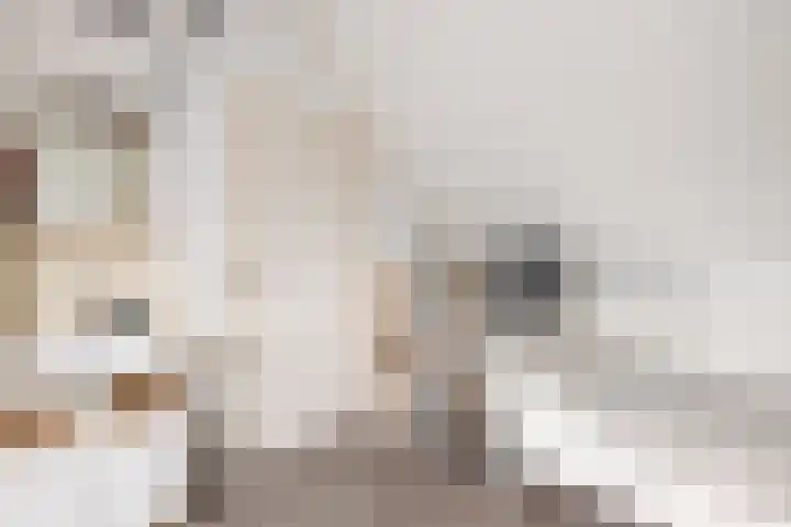 Dominicushof 121 Vianen thumbnail 36