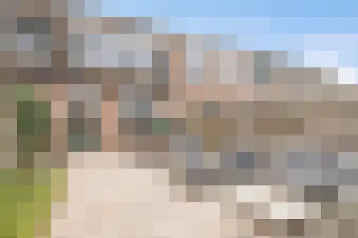 Dominicushof 121 Vianen thumbnail 38