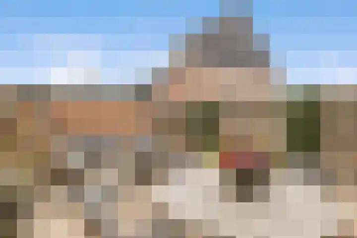 Dominicushof 121 Vianen thumbnail 39