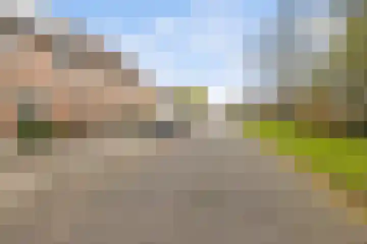 Dominicushof 121 Vianen thumbnail 43