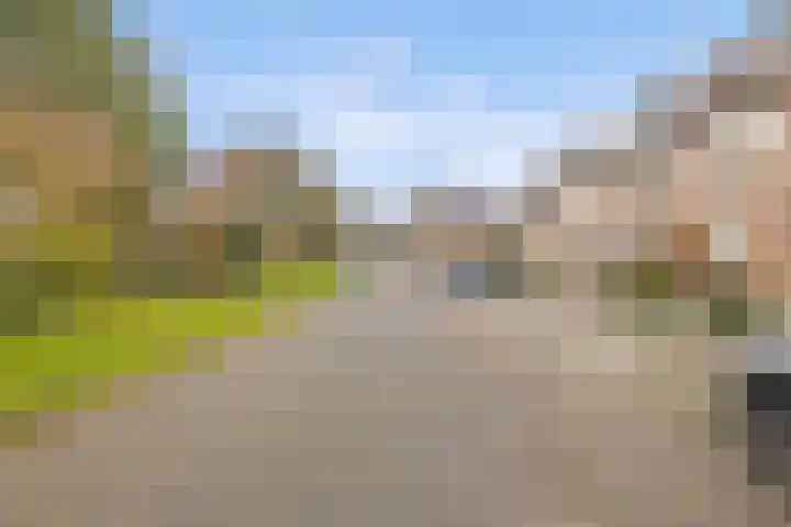 Dominicushof 121 Vianen thumbnail 44