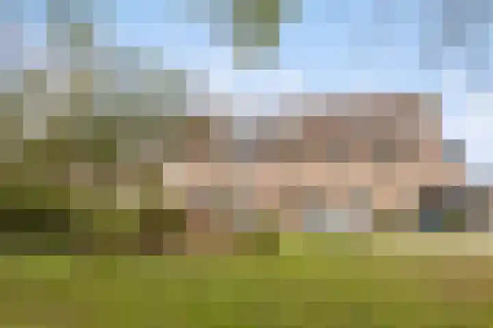 Dominicushof 121 Vianen thumbnail 45