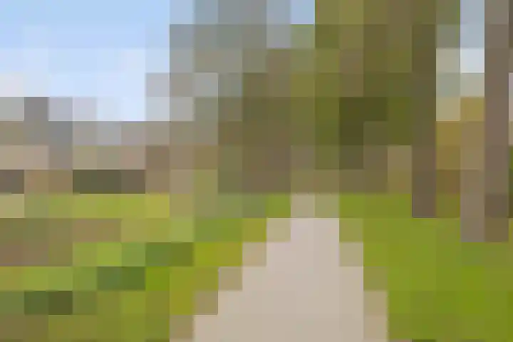 Dominicushof 121 Vianen thumbnail 46