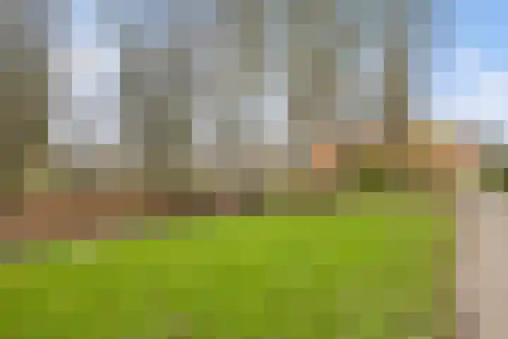 Dominicushof 121 Vianen thumbnail 47