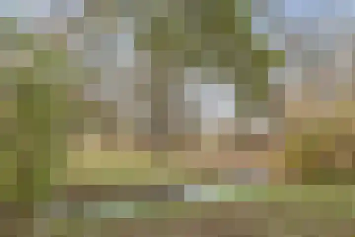 Dominicushof 121 Vianen thumbnail 48