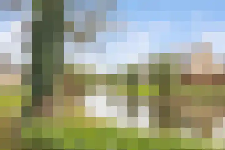 Dominicushof 121 Vianen thumbnail 49