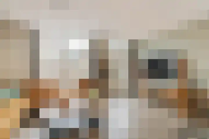 Dominicushof 121 Vianen thumbnail 6