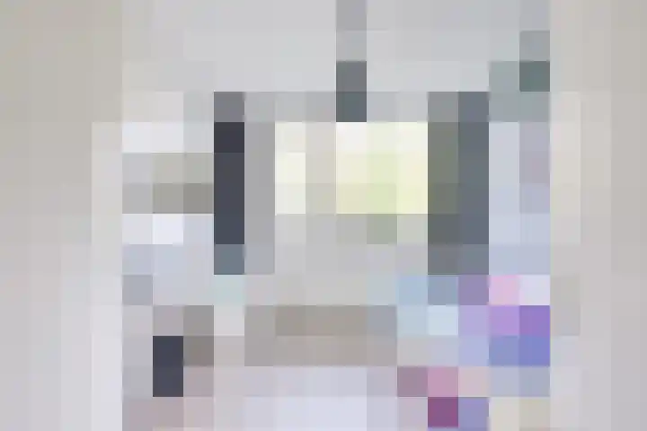 Dominicushof 122 Vianen thumbnail 30