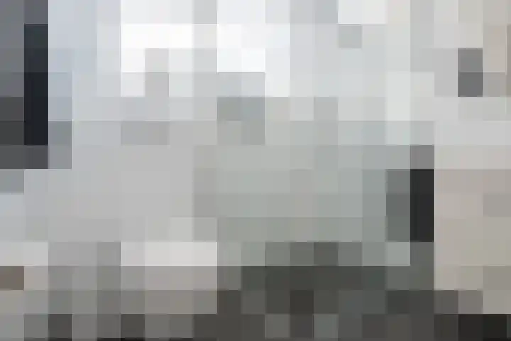 Dominicushof 122 Vianen thumbnail 40