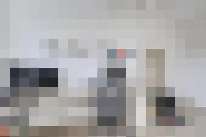Dominicushof 122 Vianen thumbnail 51