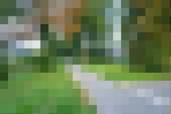 Dominicushof 122 Vianen thumbnail 60