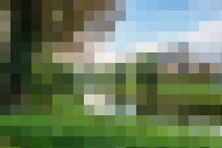 Dominicushof 122 Vianen thumbnail 61
