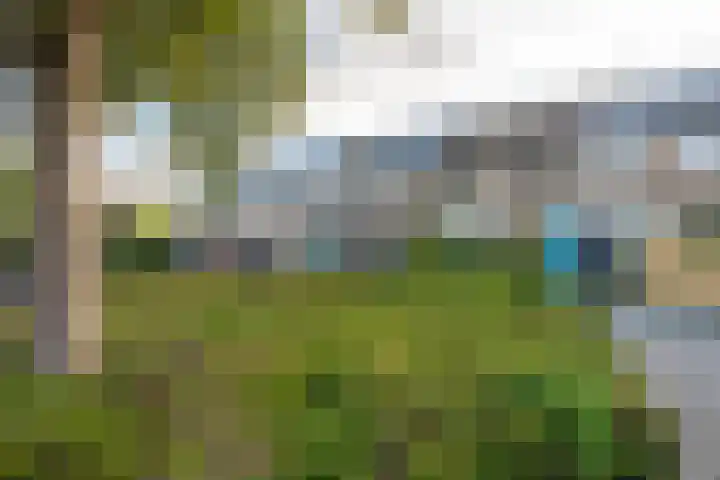 Dominicushof 122 Vianen thumbnail 62