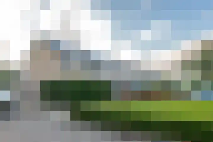 Dominicushof 122 Vianen thumbnail 65