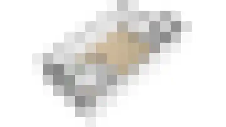 Dominicushof 122 Vianen thumbnail 67