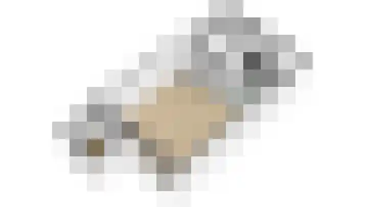 Dominicushof 122 Vianen thumbnail 68
