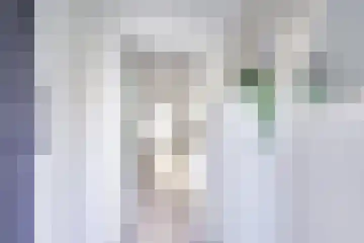 Dominicushof 122 Vianen thumbnail 7