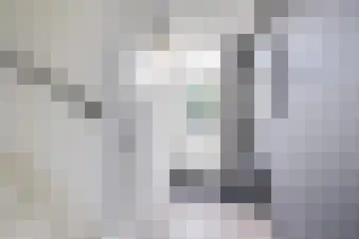 Dominicushof 122 Vianen thumbnail 8