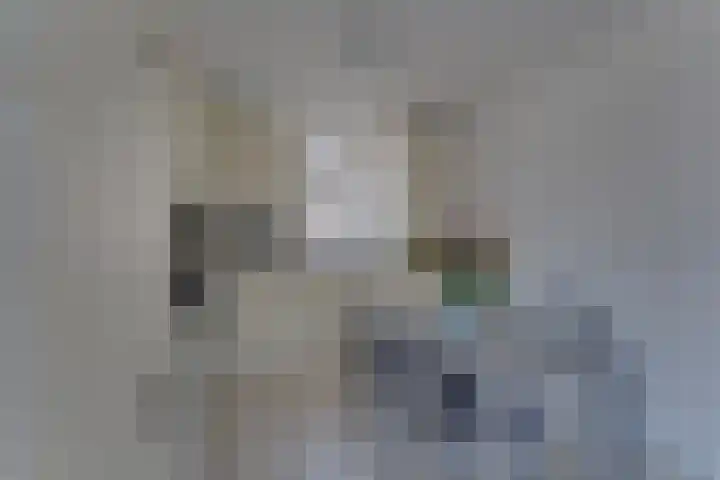 Dominicushof 141 Vianen thumbnail 10