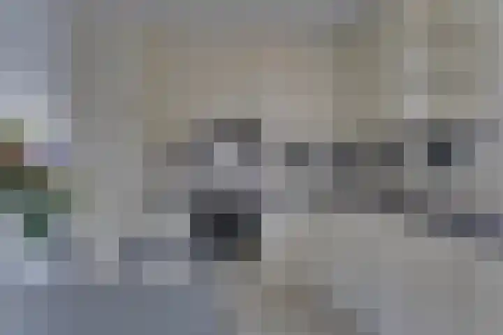 Dominicushof 141 Vianen thumbnail 11