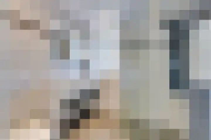 Dominicushof 141 Vianen thumbnail 17