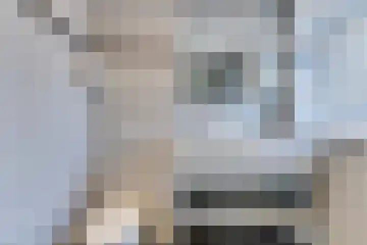 Dominicushof 141 Vianen thumbnail 19