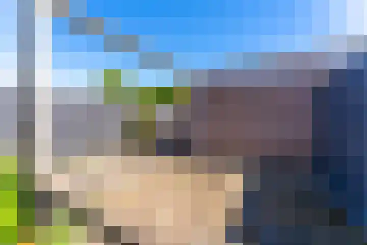 Dominicushof 141 Vianen thumbnail 27