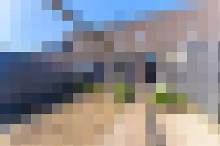 Dominicushof 141 Vianen thumbnail 29