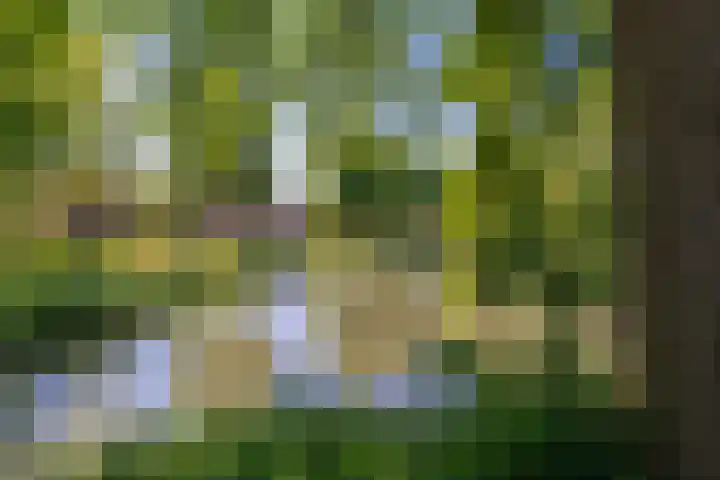 Dominicushof 141 Vianen thumbnail 36